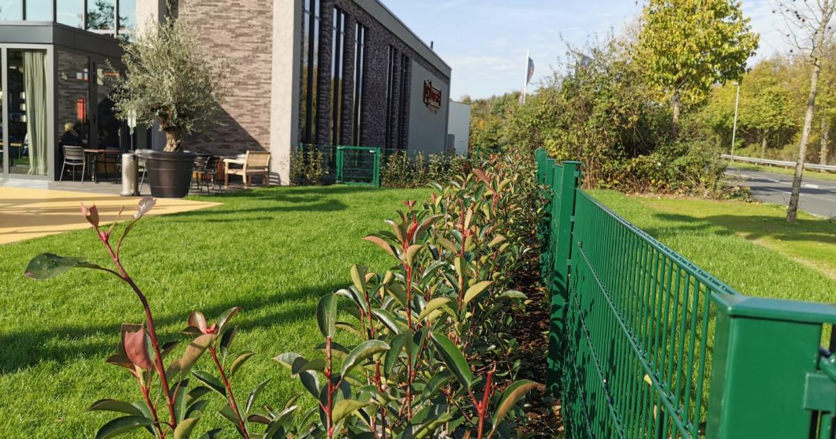 Neubauprojekt Dormagen BRAUSCH Garten und Landschaftsbau